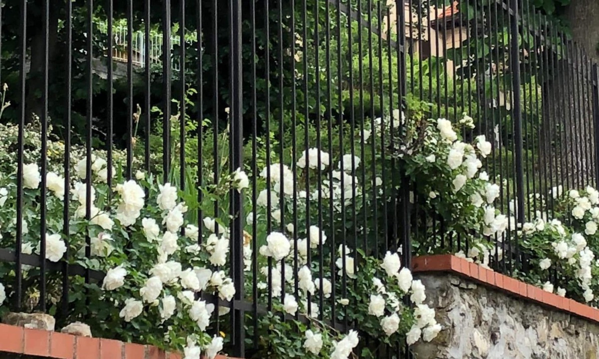 Savignone Bed & Breakfast | A o Soâ B&B