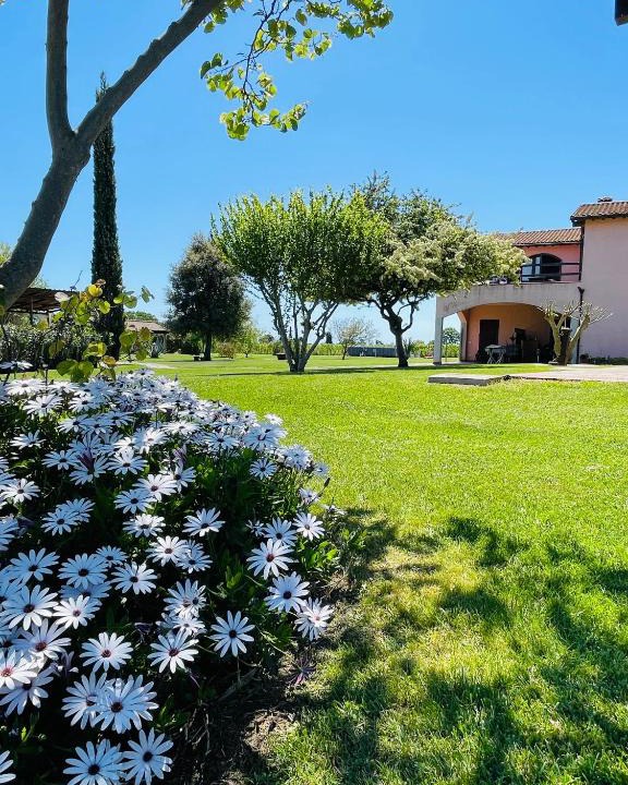 Castiglione della Pescaia House | Agriturismo Paradiso