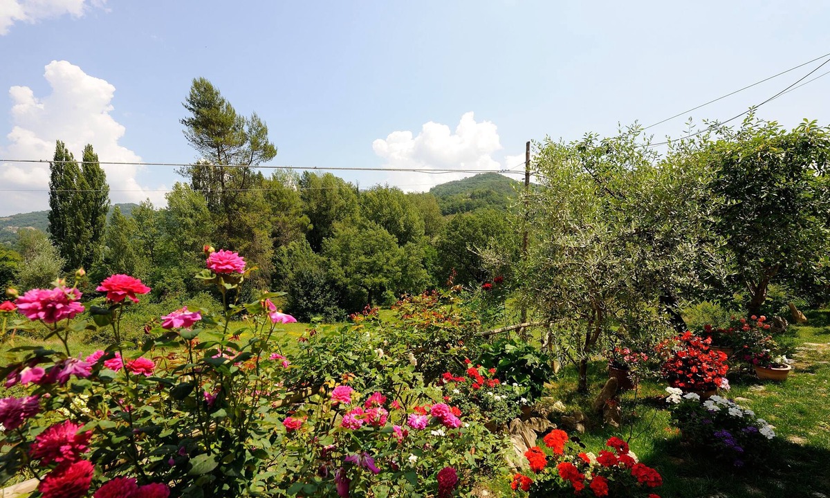 Casenuove Other | Agriturismo Casa Brunori