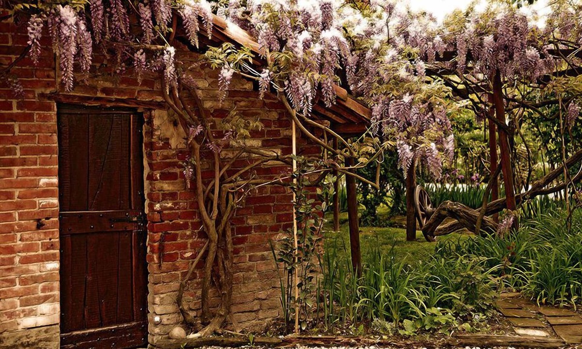 Barolo Other | Agriturismo Il Gioco dell'Oca