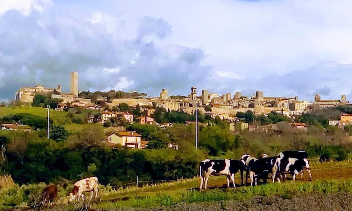 Tarquinia House | Agriturismo Il Poderino