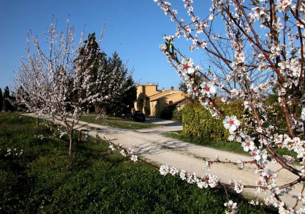 Loreto Aprutino House | Agriturismo Le magnolie