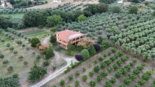 Viterbo Bed & Breakfast | Agriturismo Le Quattro Stagioni