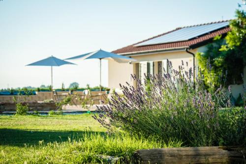 Imola House | Agriturismo Podere Zampiera Vecchia - vicino Imola e Autodromo