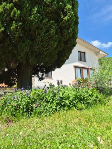 Poggio San Vicino House | Agriturismo Vallonga