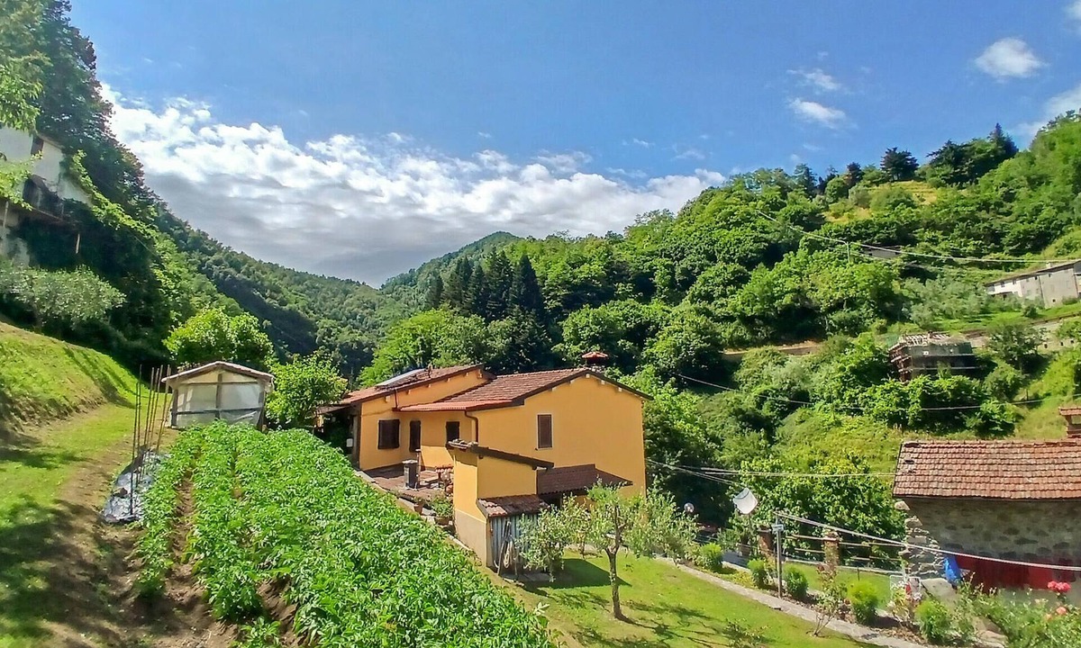 Fabbriche di Vallico House | Amazing home in Fabbriche di Vallico with WiFi