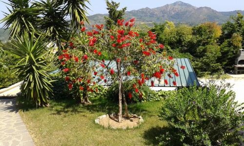 Capoliveri Apartment | Apartment in villa 2 to 3 persons with large private garden