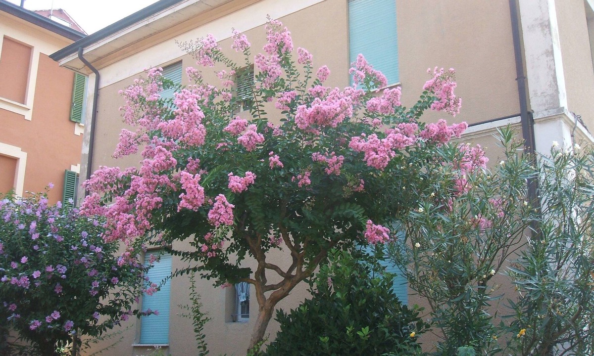 Province of Bologna Bed & Breakfast | B&B Accorsi