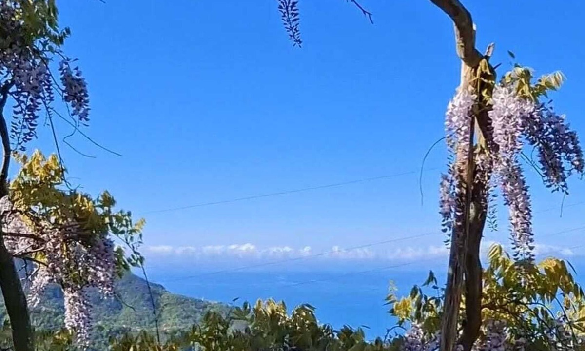 Moneglia Bed & Breakfast | B&B Bella Vita