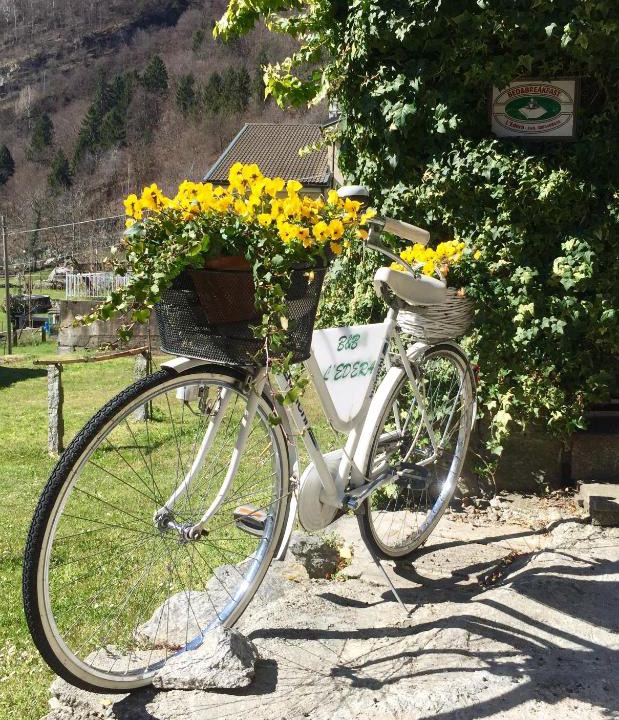 Crodo Bed & Breakfast | B&B L'Edera