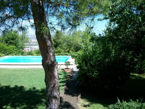 Montesilvano Bed & Breakfast | B&B Luna Blu