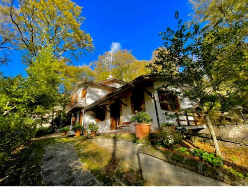 Tolfa Bed & Breakfast | B&B Notti Serene