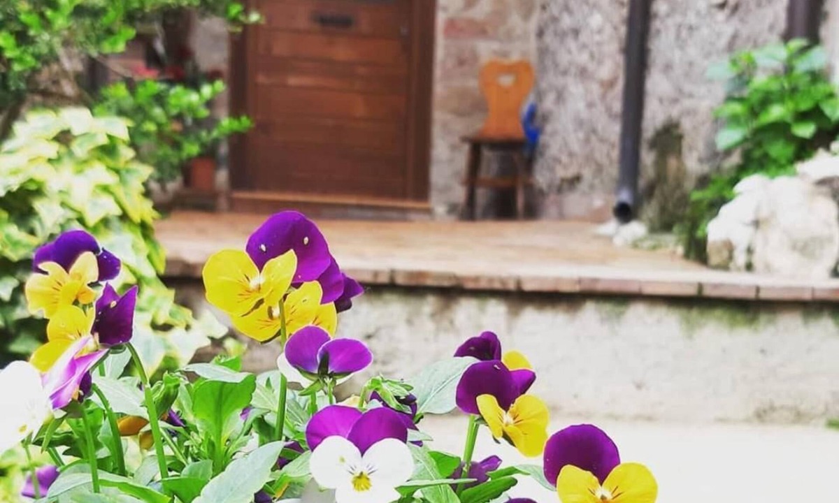 Artena Bed & Breakfast | B&B Rupe Antica