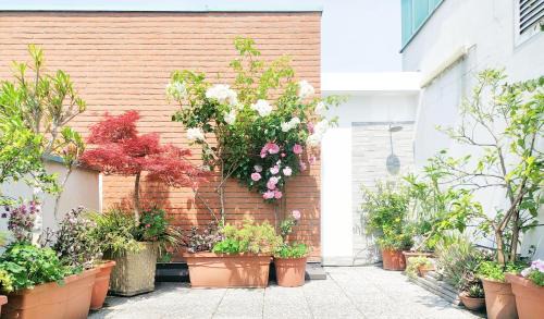 Vimodrone Apartment | B&B Vimo - Appartamento con terrazzo privato Milano San Raffaele - Vimodrone