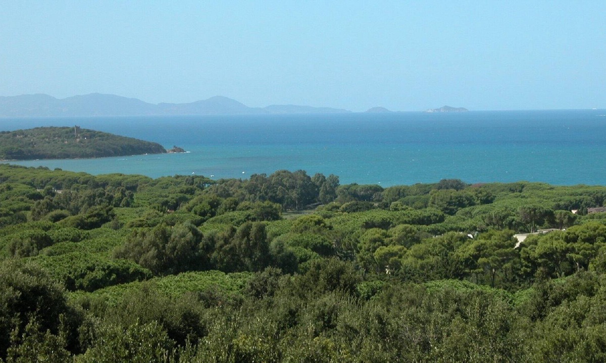 Punta Ala Villa | Beautiful villa with the private pool and breathtaking sea view!