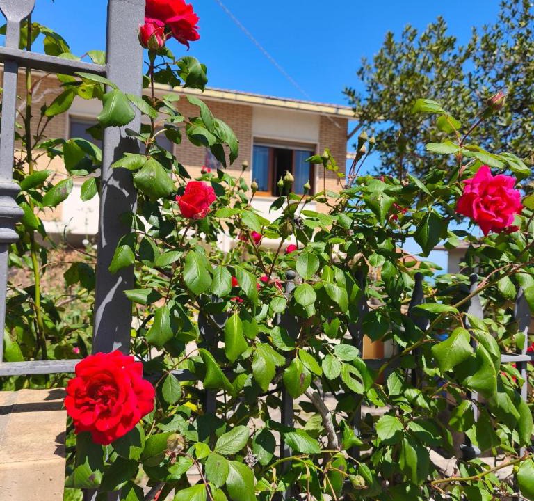Mosciano Sant'Angelo Apartment | Bell'idea Experience Apartments