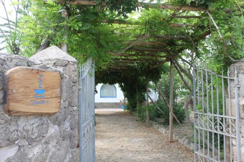 Ventotene Apartment | Calanave 10
