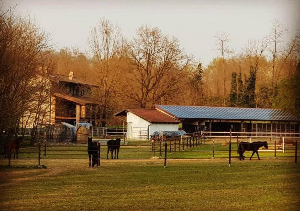 Cossano Canavese Bed & Breakfast | Cameloth B&B