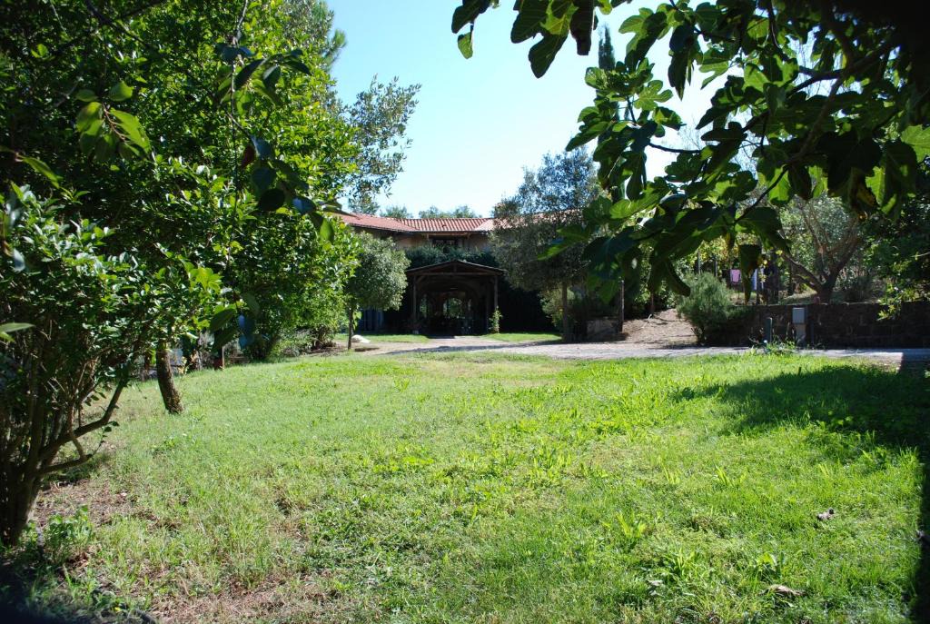 Blera House | Camporegio