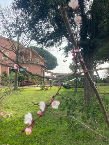 Tarquinia Bed & Breakfast | Casa Diana