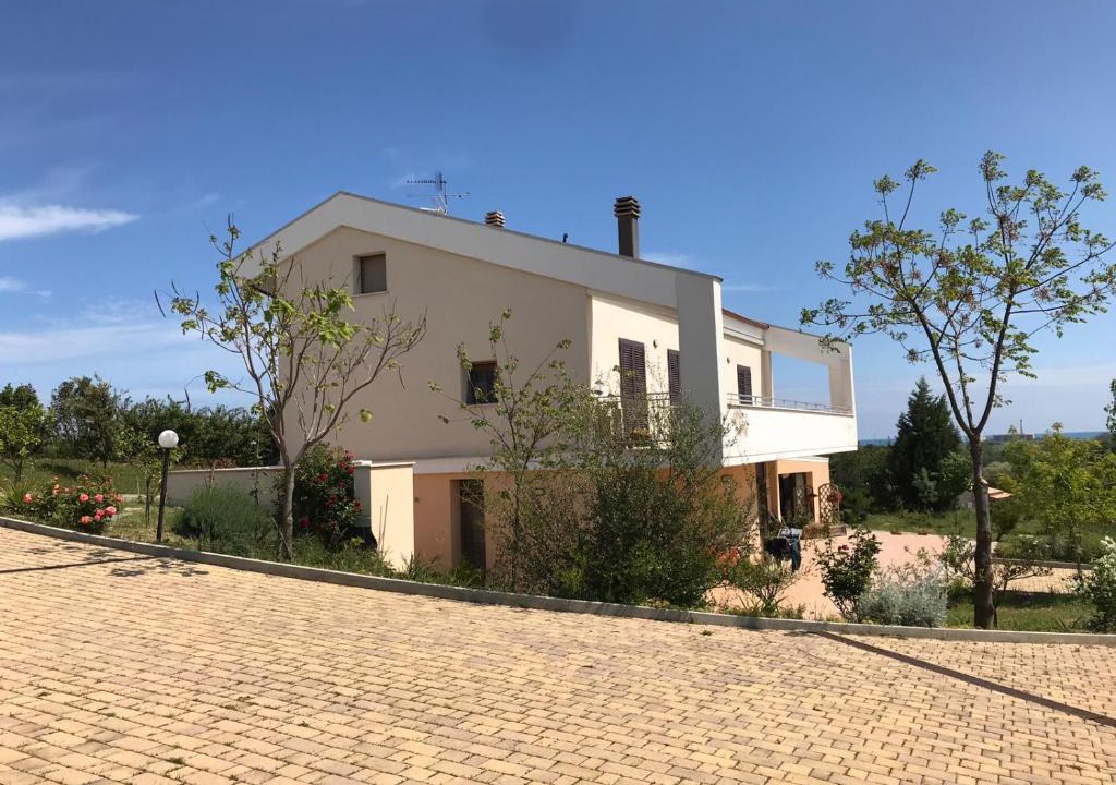 Vasto House | Casa Gelso