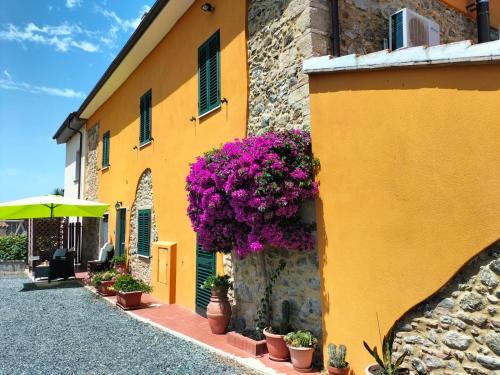 Castellina Marittima Apartment | Casa Il Gallo