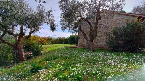 Lucciana Apartment | Casa in campagna nel Chianti colline senesi