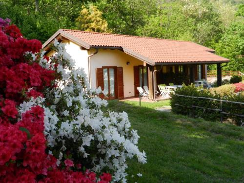 Bracchio Apartment | Casa Luciana