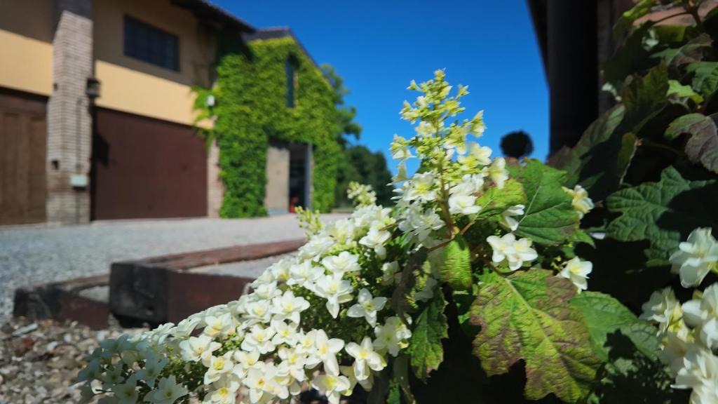 Basilicanova Bed & Breakfast | Casa Rifugio Parma