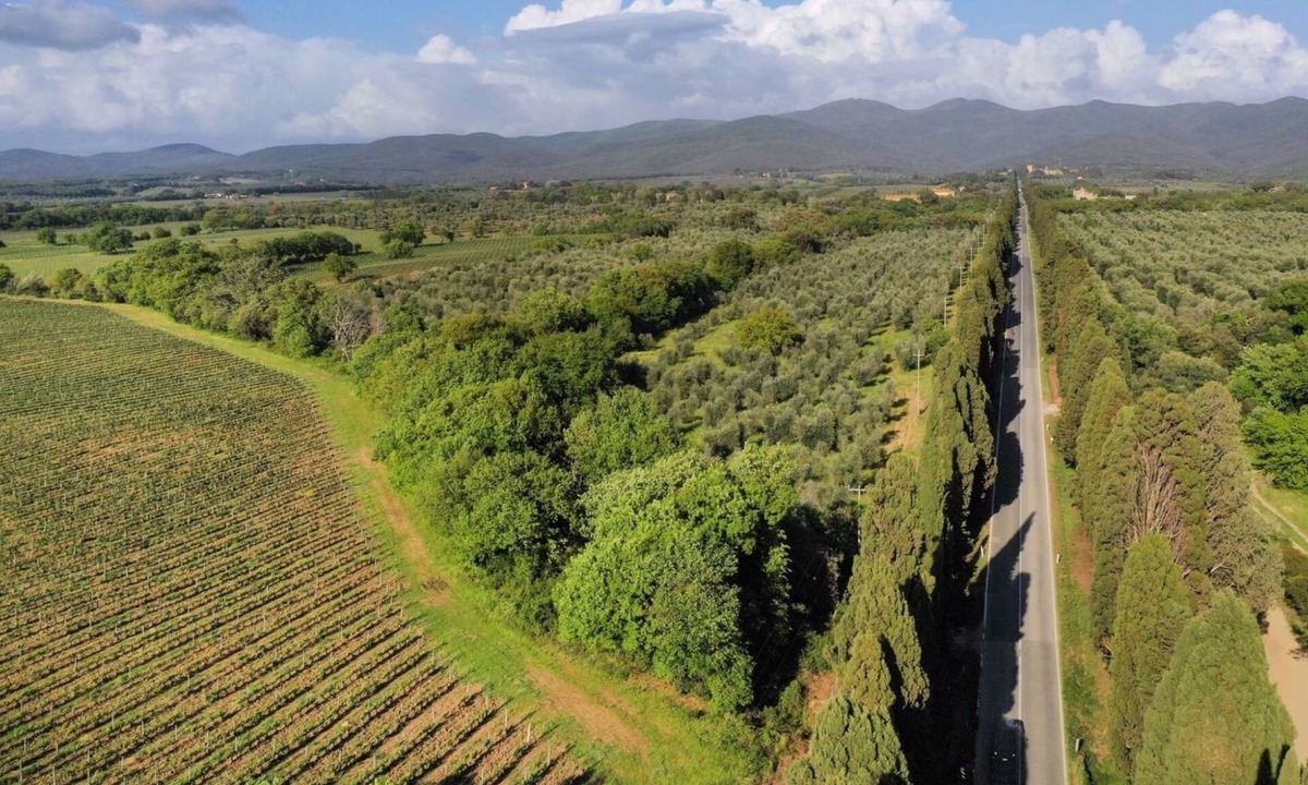 Bolgheri I Apartment | Casale Bolgherese by Interhome