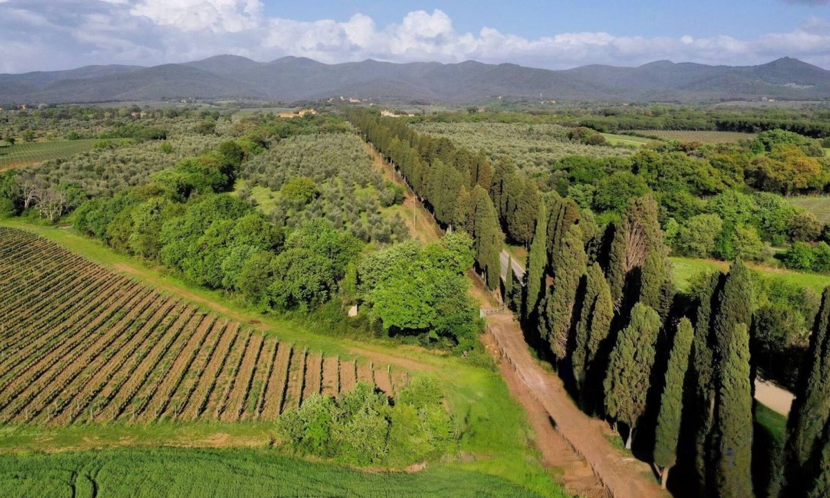 Bolgheri I Apartment | Casale Bolgherese by Interhome