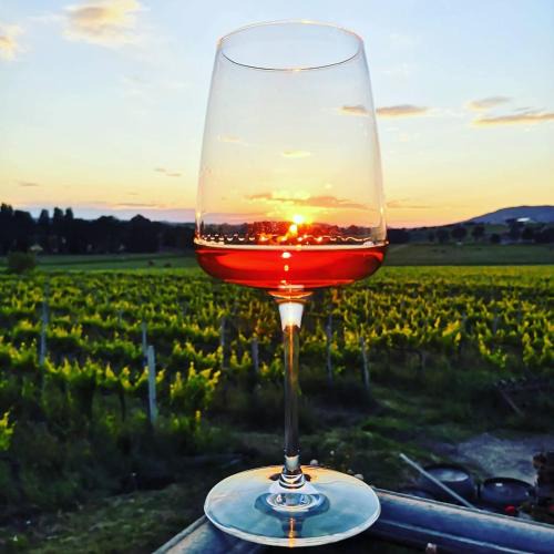 Montefalco Bed & Breakfast | Casale Rialto