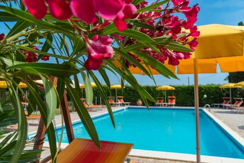 Campiglia Marittima Apartment | Casalpiano
