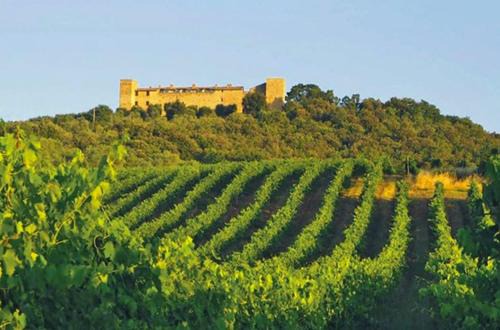 Monte Vibiano Vecchio Apartment | castello Montelagello