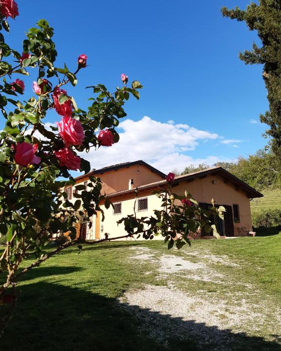Magliano Sabina House | CentOlivi