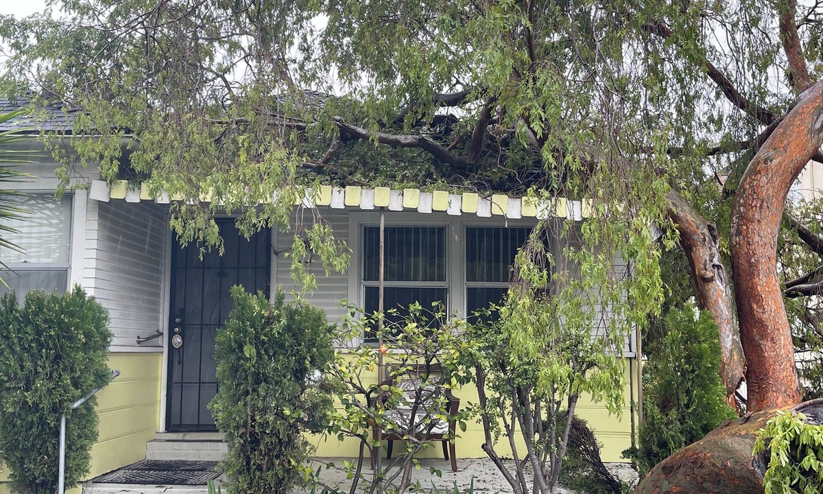 Pico Bed & Breakfast | Centrally located Cozy Santa Monica haven with backyard and parking!