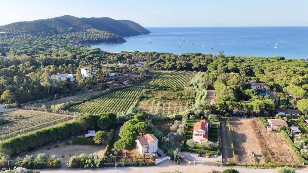 Lacona Apartment | Charme Villa La Vela - Goelba