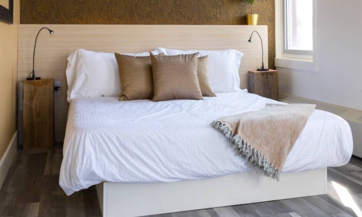 Northeast Edmonton Apartment | Clean, Central Plush Sanctuary in Highlands