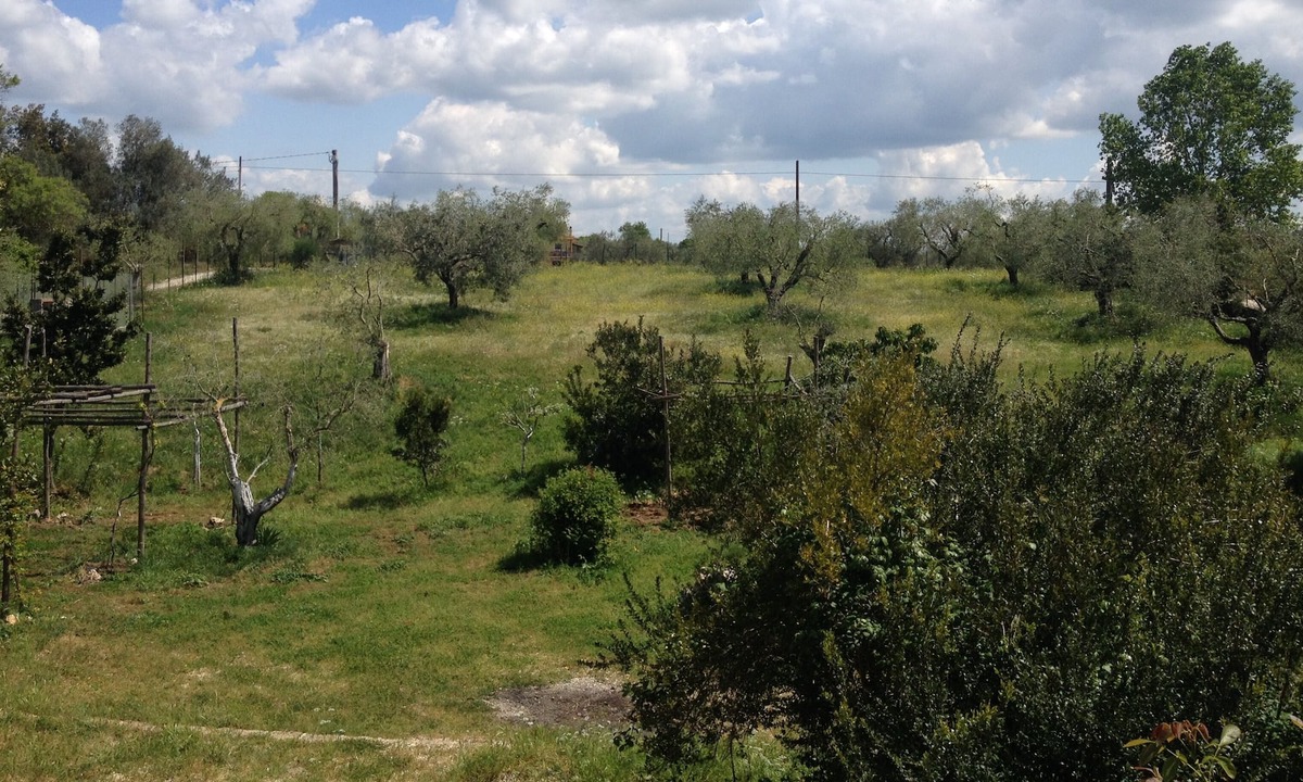 Formello House | Country villa in Formello
