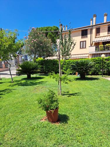 Terni House | Da George