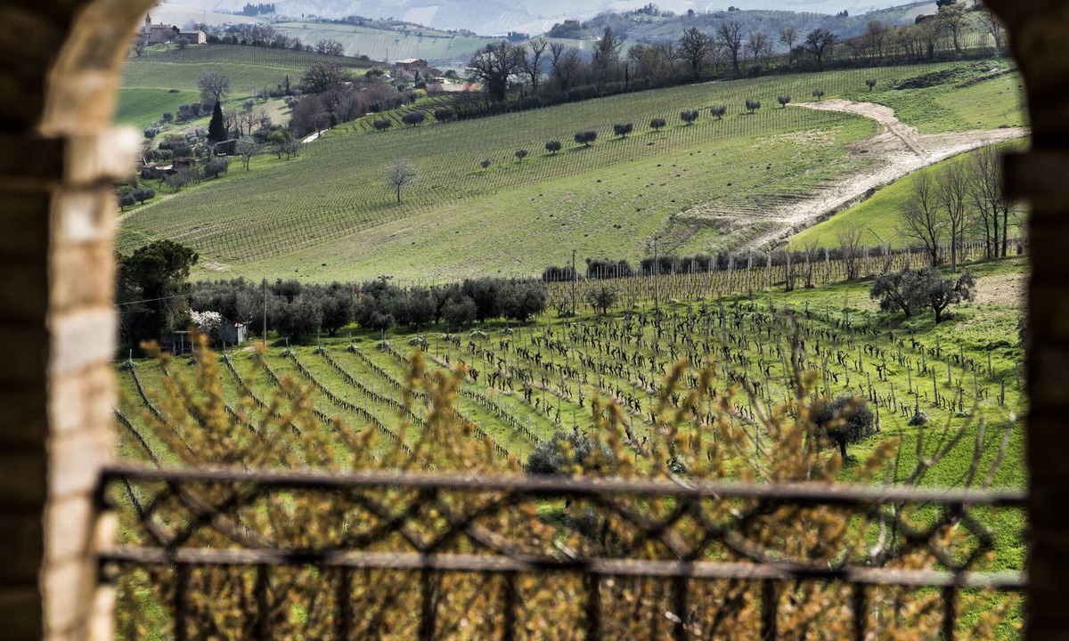 Offida Bed & Breakfast | Dimora Rosso Piceno
