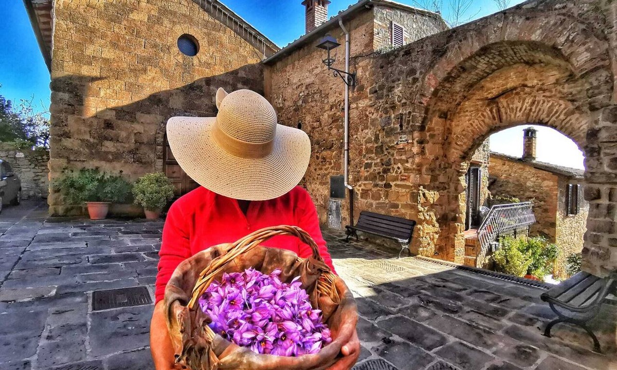Monteguidi Apartment | Enjoy your Tuscan - the Tuscan hills