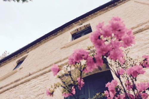 Fara Filiorum Petri Bed & Breakfast | Frontemaja