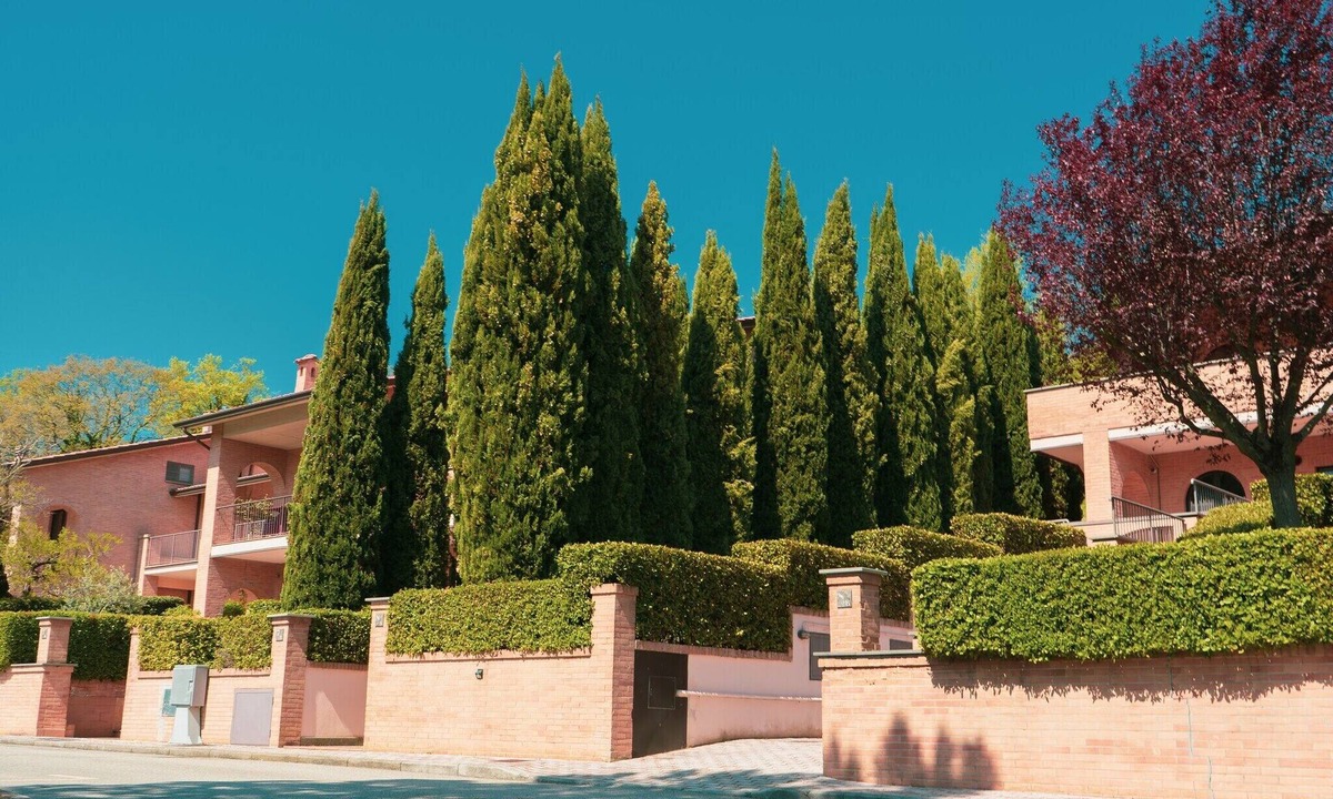 Assisi House | Holiday Home in Umbria near Assisi