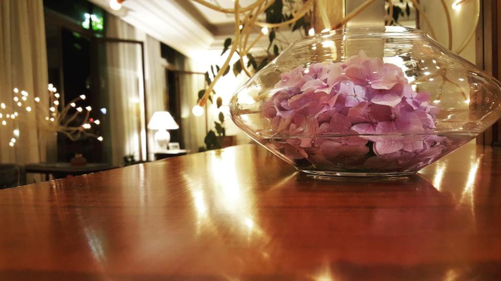 Fiuggi Hotel | Hotel Delle Ortensie