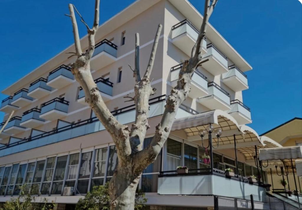 Cagnona Hotel | Hotel Kursaal