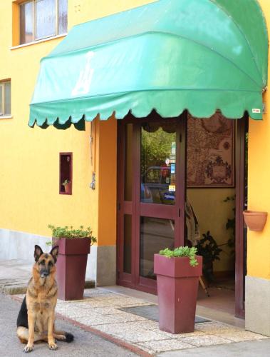 Passignano sul Trasimeno Hotel | Hotel Trasimeno