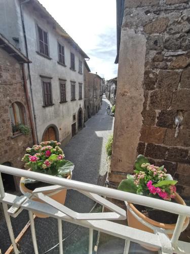 Barbarano Romano Apartment | Il cammino degli Etruschi