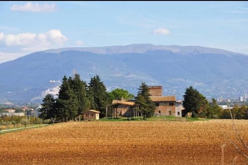 Collestrada House | Il Fortino di San Francesco