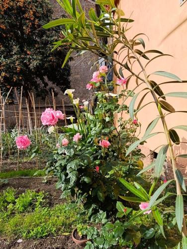 Nepi House | Il giardino di Borgo Nuovo